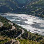 Terraced vineyards in the Douro Valley at harvest