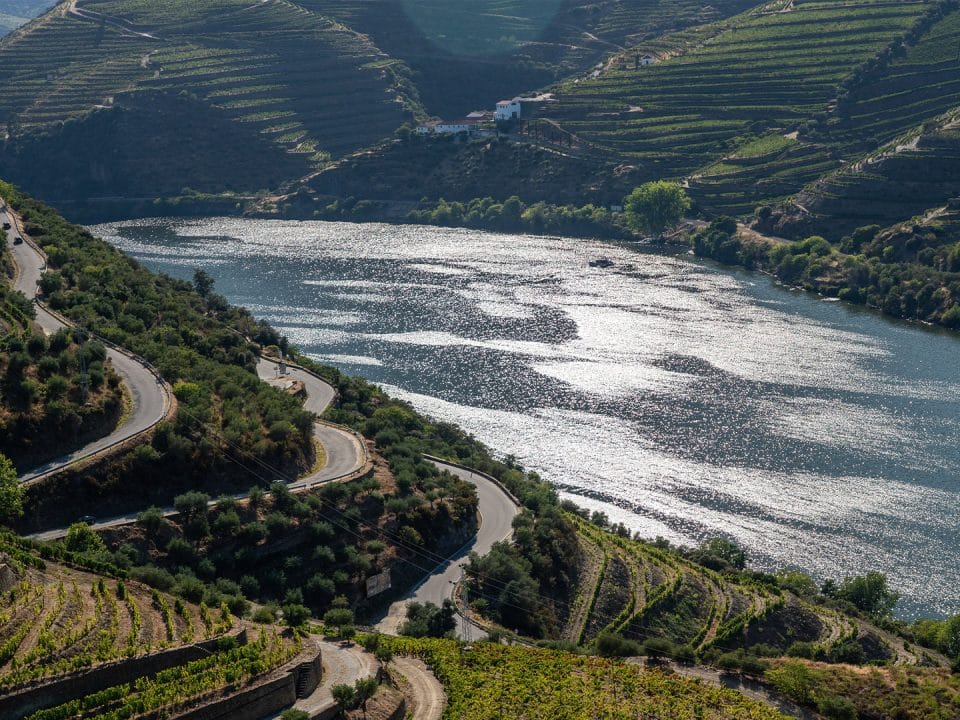 Terraced vineyards in the Douro Valley at harvest